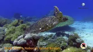 Nabucco Island Resort