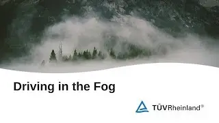 Everyday Safety - Driving in the Fog