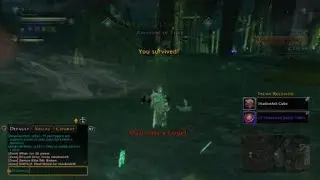 Neverwinter Mod 31 Paladin Tank vs Thay Assassins