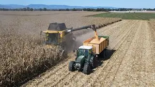 MOISSON DES MAÏS 2K22 🌽 // CR 8.90 & 2 X FENDT //