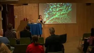 Bio-silk: a novel bioactive material made of recombinant fusion proteins | My Hedhammar