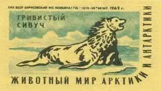 2012-04-25 15-25-46 scast-общение