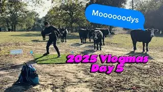 2025 Vlogmas Day 5 & Giveaway 2 | Moody&rsquo;s DGCC