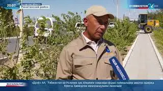 Новости 24 | Общенациональный проект &laquo;Яшил макон&raquo; охватил отдалённые пустынные районы Бухары