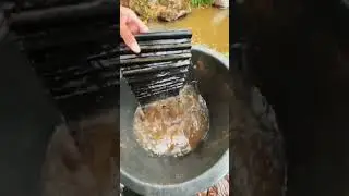 Riverbank Gold Hunting - Mini Sluice Box! #goldchannel #GoldMining #MiningTechniques #Prospecting