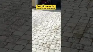 #DirtyDucks #getduckingclean #sandandseal #paverstripping #paversealing #pavercleaning #paversanding