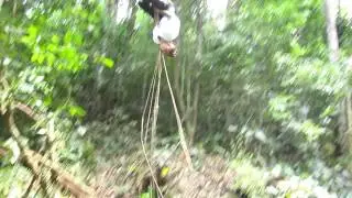 Tarzan Style Vine Swing in Colombia
