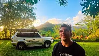 SOLO Camping In The Worlds OLDEST Rainforest 🌱