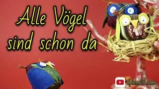Echte Spieluhr - Alle V&ouml;gel sind schon da 🐦