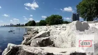 Deer Swimming in Lake Michigan