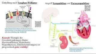 Antiarrhythmika: &Uuml;berblick Klasse I bis IV nach Vaughan Williams - und Sonstige