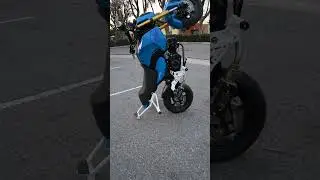 Honda Grom Steel 12 Bar Impaktech USA 2021-2026