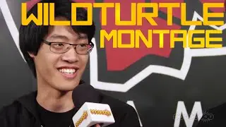 WildTurtle ADC montage