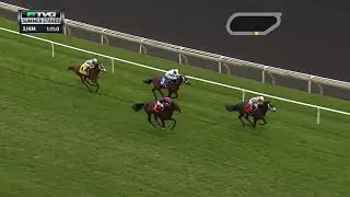 RACE REPLAY: 2015 Summer Stakes at Woodbine