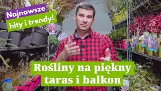 Rośliny na taras i do ogrodu - najnowsze hity - trawy i rośliny kwitnące