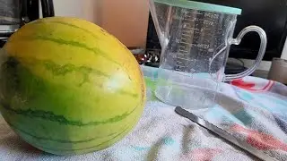 🍉 [Cooking] Watermelon Pickled Rind Snack No Boiling Recipe How to Make From Leftovers