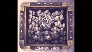 SUCKING LEECH - Mindleech