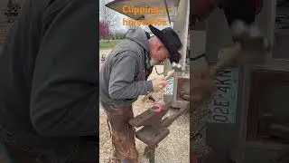 Making clips on a horseshoe. #farrier #farrierlife