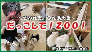 【だっこして！ZOO！】動物ふれあいNo 1in神奈川～さわれる、ふれあえる～