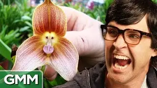 Scariest Plants on Earth