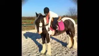 Mein Pferd und ich, unsere berührende Geschichte