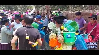 NEGRILLOS DE VILLA CHIARA ANDAHUAYLAS  2022