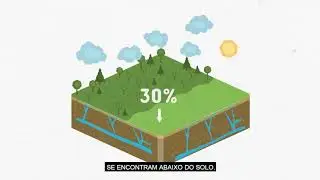 Qual &eacute; a nossa responsabilidade na preserva&ccedil;&atilde;o dos aqu&iacute;feros?