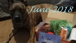 BullyMake Box Unboxing- June 2018
