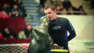 Dolphins Show 2012_Шоу Дельфинов 2012