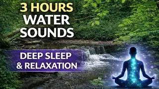 Soothing Forest Stream Water Sounds for Deep Sleep & Relaxation | 3 Hours