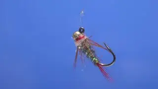Underwater Fly Orientation