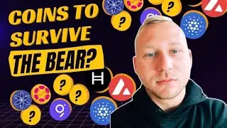 Какие монеты смогут пережить медвежий рынок криптовалют? 🐻🥶