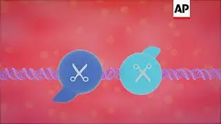 Scientists Use Gene Therapy to Fight HIV