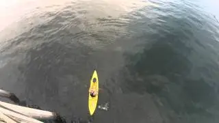Shark Fishing Kayaking Bait For Penn Senator 6/0