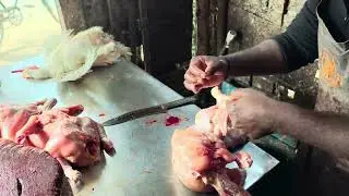  Cut: Make a small incision between the skin and the meat at the neck or the base of the breast.