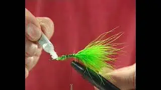 Mouche magique : Wooly worm