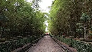 Visit Hung Kings Temple in Ho Chi Minh City