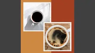 Tranquil Spring Coffee