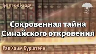 Zoom-уроки Толдот.ру