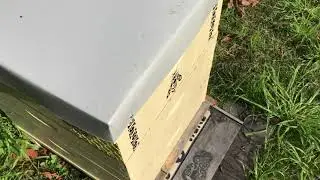Condensation