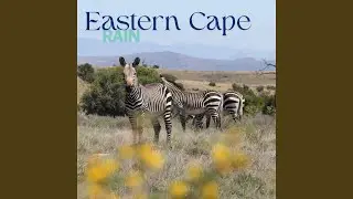 Eastern Cape Rain