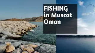 Fishing vlog in Muscat Oman
