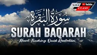 Nafees Ara Official is live!