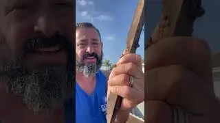 Mission Viejo Best Local Roofing Contractors 949-528-ROOF(7663)