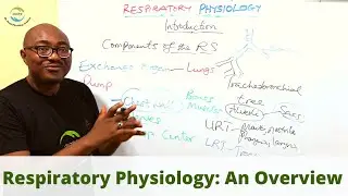 Introduction to Respiratory Physiology