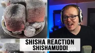 ShishaWG REAGIERT ShishaMuddi Raucht Mit Alukugeln!