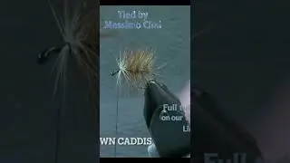 Traditional Brown Caddis #flytying #fishing #flytyingtutorial