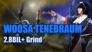 Black Desert Online | Woosa Tenebraum Grind Highlight (19k Trash)