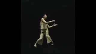 Li Kehua 李可华Lico