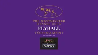 Flyball Tournament | 150th Westminster Kennel Club Dog Show